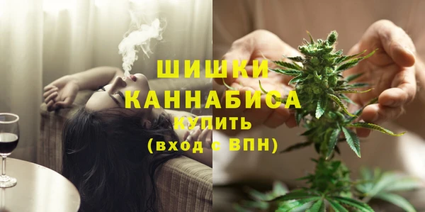 mdpv Белокуриха