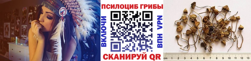 кракен как зайти  Вязьма  Галлюциногенные грибы GOLDEN TEACHER 